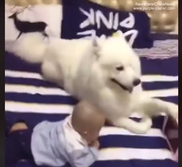 Khi bạn ý muốn xem phim, tôi sẽ giữ iPad cho bạn ý.