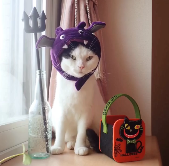 Cùng Ikura hóa trang siêu &quot;chất&quot; mùa Halloween nào!