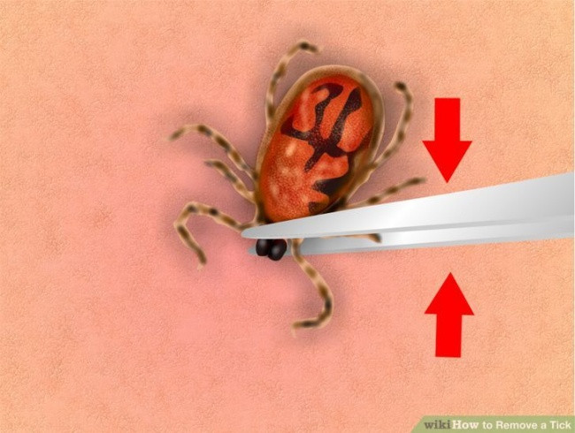 9 mẹo bỏ túi có thể cứu mạng bạn khi lâm vào những tình huống nguy cấp ảnh 3