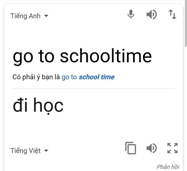 Nhiều cư dân mạng đã tra những khẩu hiệu này trên Google dịch.