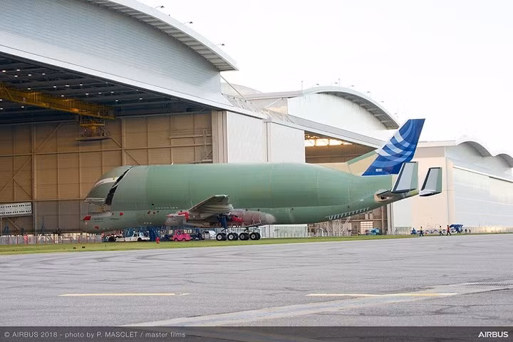 Airbus có kế hoạch xây dựng 5 máy bay Beluga XL và đưa chúng vào hoạt động giữa năm 2019.