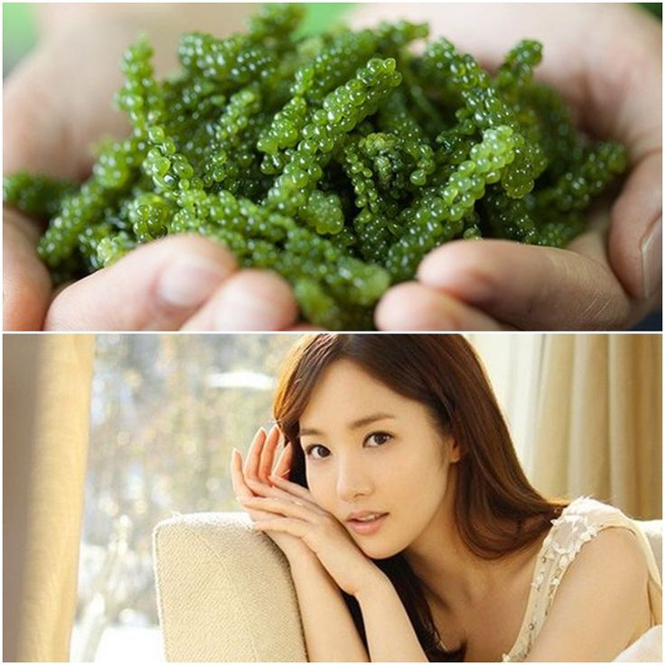 Tảo biển - thần dược dưỡng da và làm đẹp cho các nàng! ảnh 1