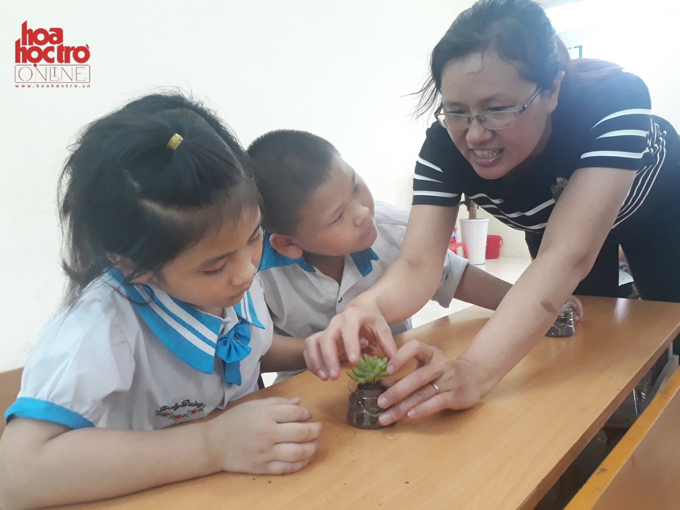 Tiết học trải nghiệm trồng cây xanh chắc chắn sẽ là một kỷ niệm đáng nhớ với mỗi bạn tween lớp 1 trường Tiểu học Xuân Quan. Tiết học trải nghiệm trồng cây xanh chắc chắn sẽ là một kỷ niệm đáng nhớ với mỗi bạn tween lớp 1 trường Tiểu học Xuân Quan.