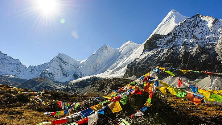 Đồng thời, hành động này cũng góp phần đảm bảo an ninh sinh thái toàn cầu.