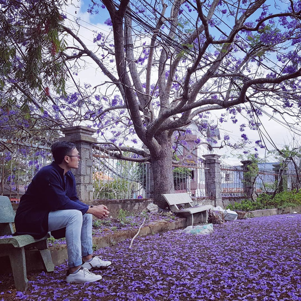 Ảnh: _Tthu98, Anniellanll, Trinhtnguyentran140693, Minthienmin.