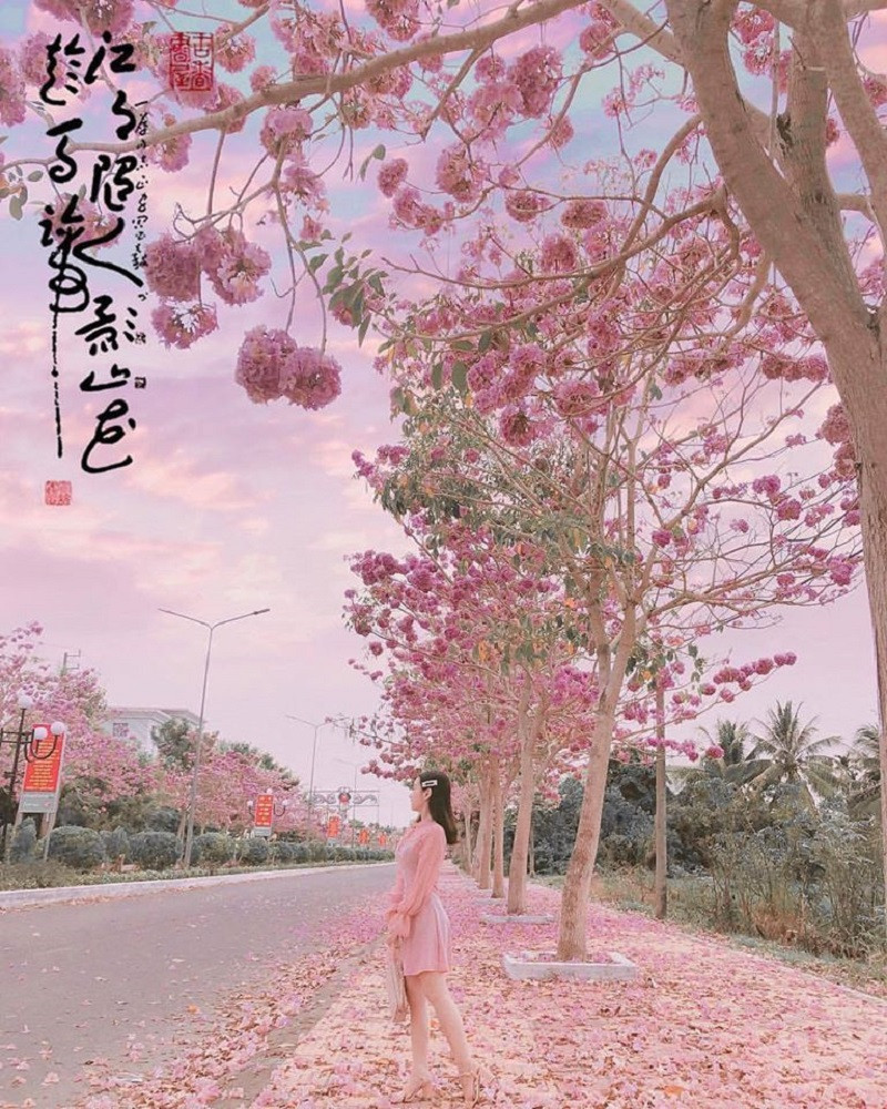 Mỗi ngày nơi đây thu hút rất nhiều bạn trẻ tới "sống ảo".