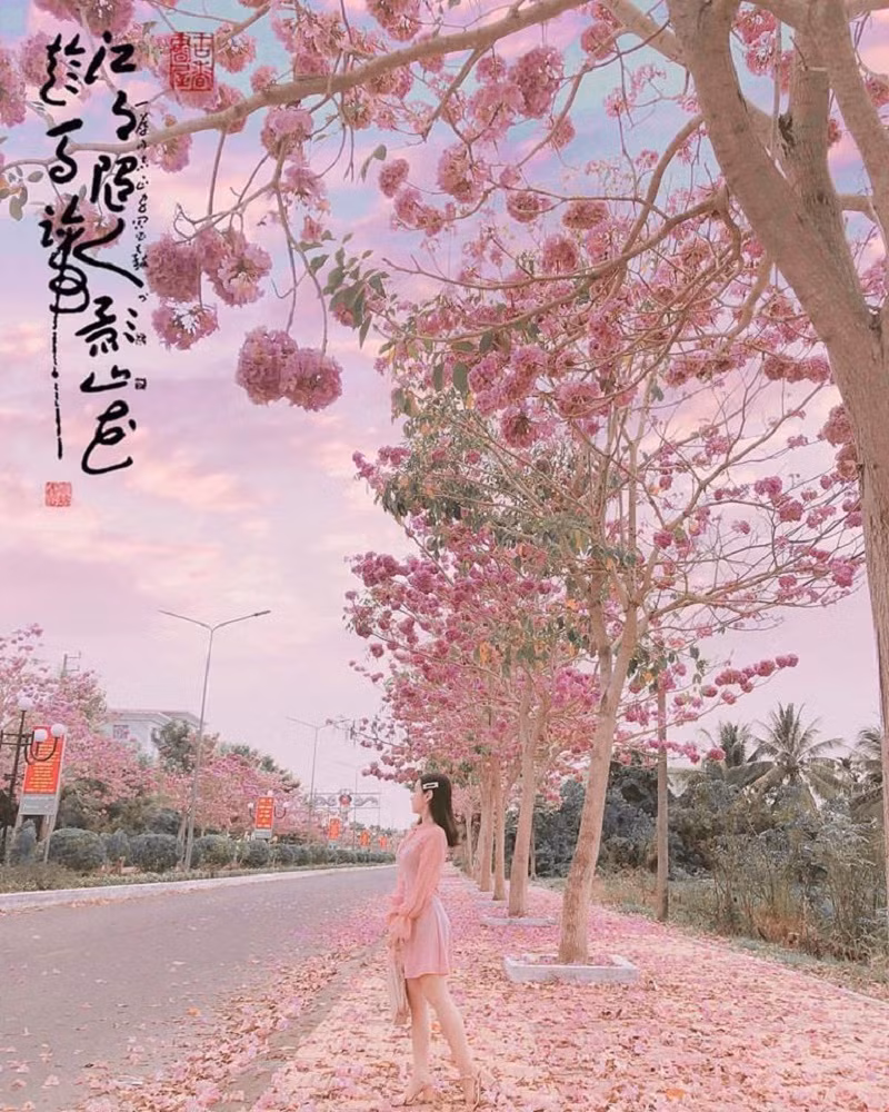 Mỗi ngày nơi đây thu hút rất nhiều bạn trẻ tới "sống ảo".