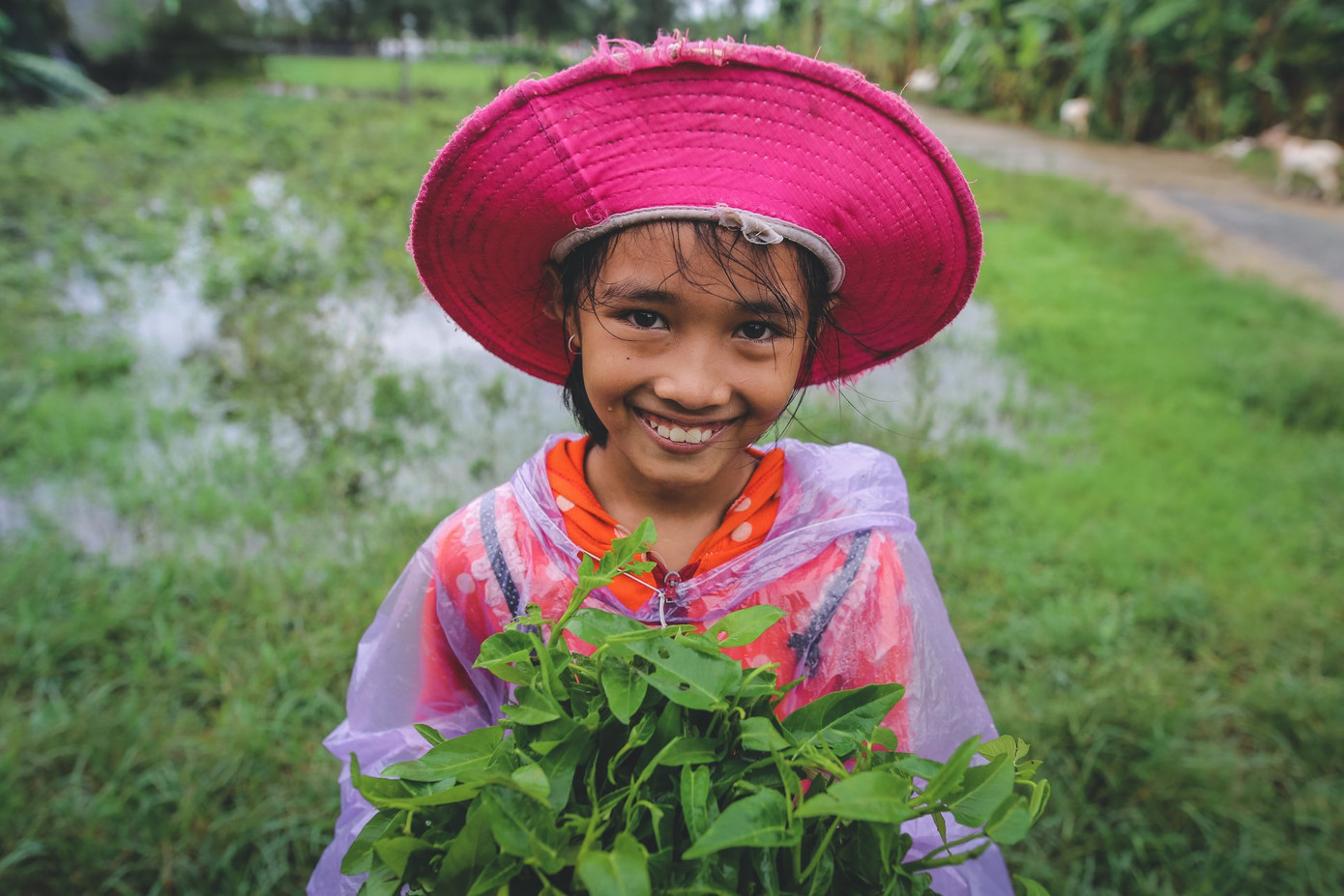 Một bức ảnh đáng yêu chụp em bé Vân trong bộ ảnh của anh Trung.