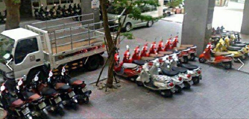 Những chiếc xe được phân loại kĩ càng theo màu sắc và loại xe.