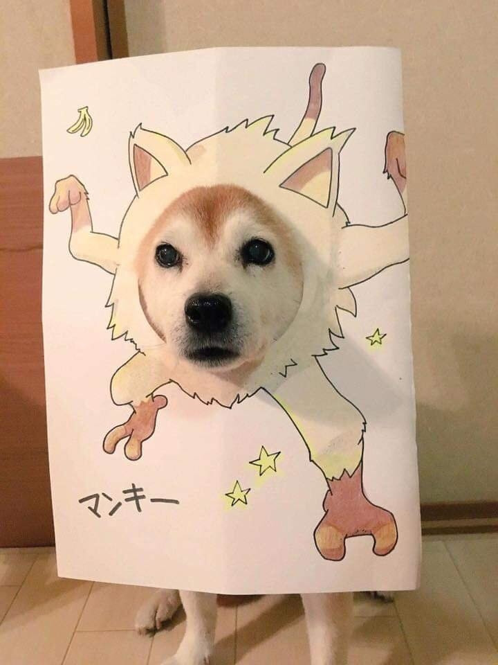 Nhìn em xem, em có xinh không sen ơi!