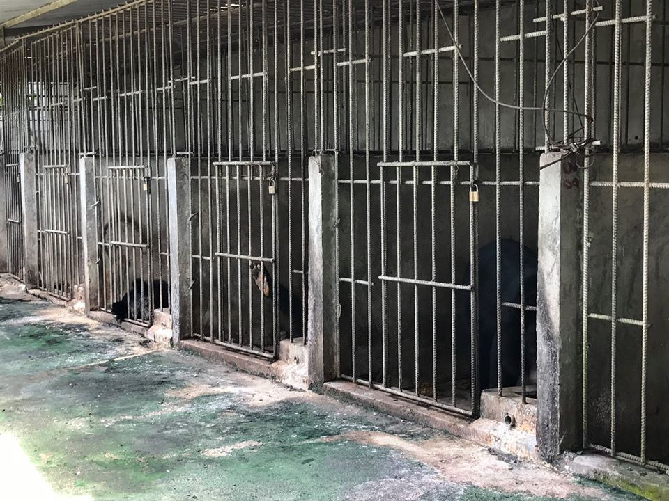 Một trong số những dãy chuồng nuôi gấu tại Công viên nước Củ Chi.