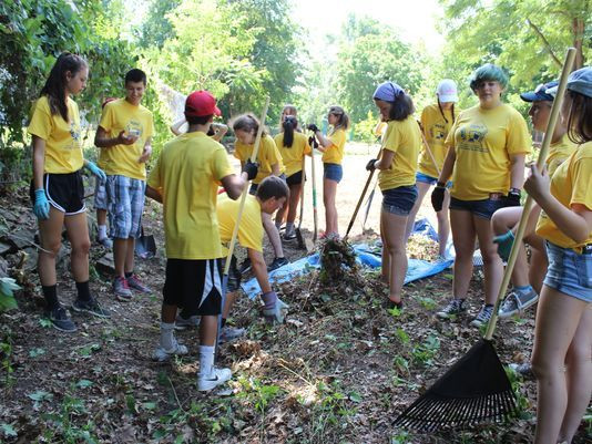 Tham gia hoạt động tình nguyện là một trong những hành vi thuận xã hội phổ biến