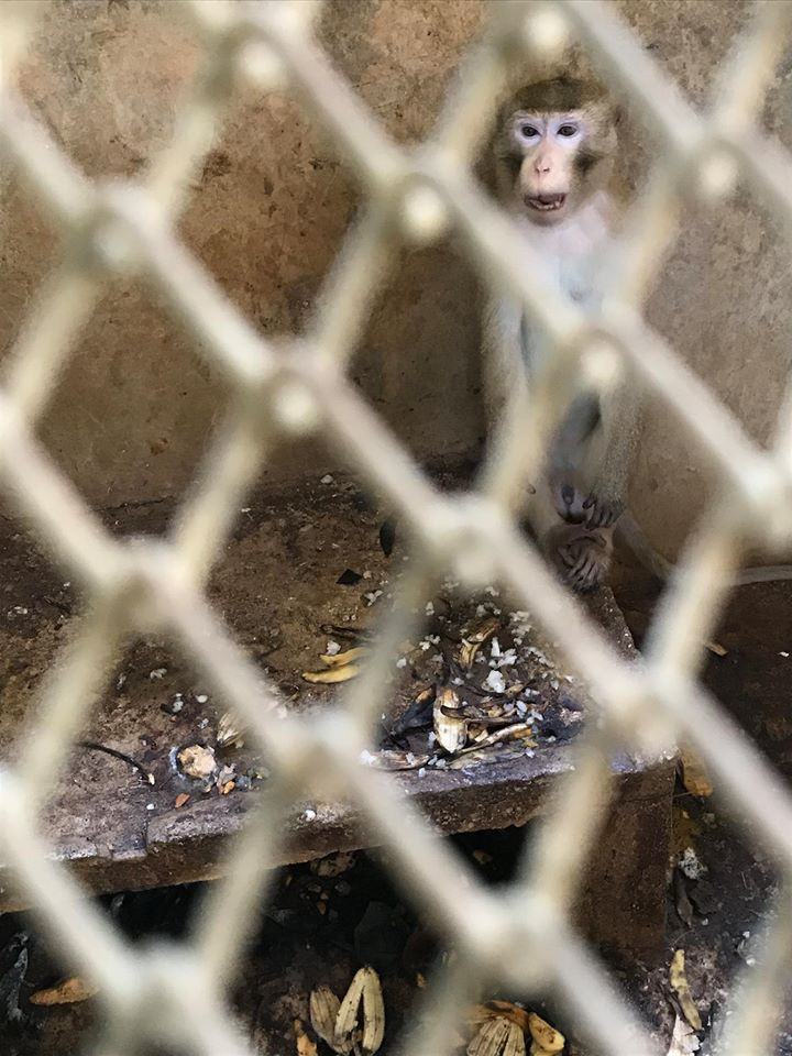 Ánh mắt vô hồn của một nạn nhân của Trại tập trung Củ Chi.