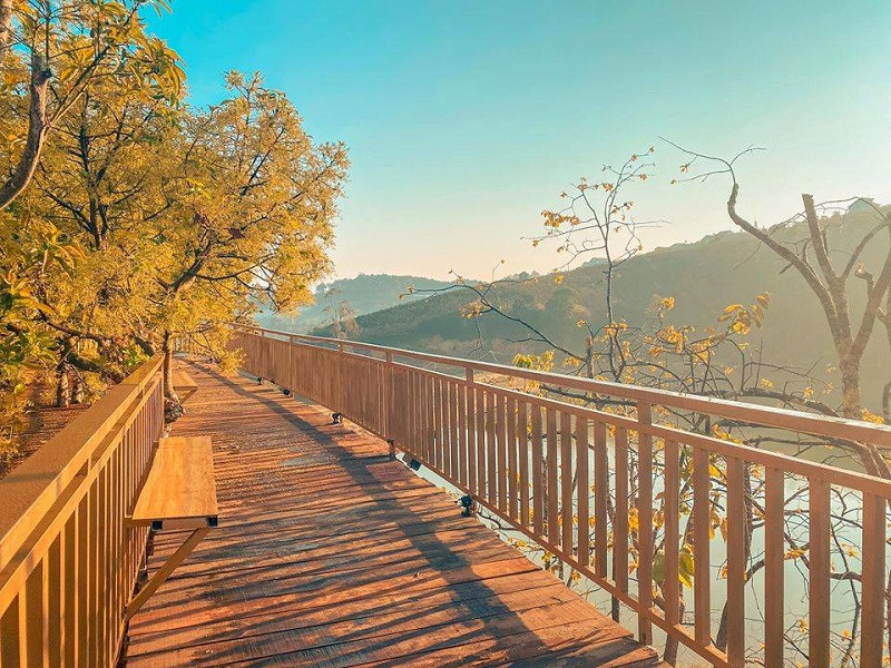 Khung cảnh lãng mạn của con đường tình yêu.