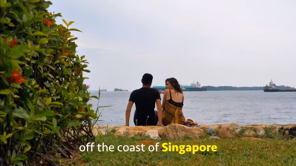 "Hòn đảo rác thải" ở Singapore thu hút khách du lịch đến tham quan và nghỉ dưỡng ảnh 4