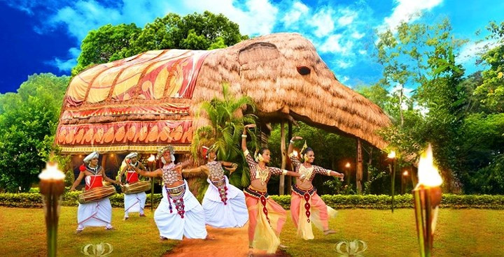 Resort Kumbuk River, Sri Lanka. Là một biệt thự 2 tầng nằm trong một khu sinh thái, khách du lịch được ở bên trong "con voi" lớn nhất thế giới. Bạn có thể khám phá cảnh quan xung quanh và xem voi thật ngay gần đó.