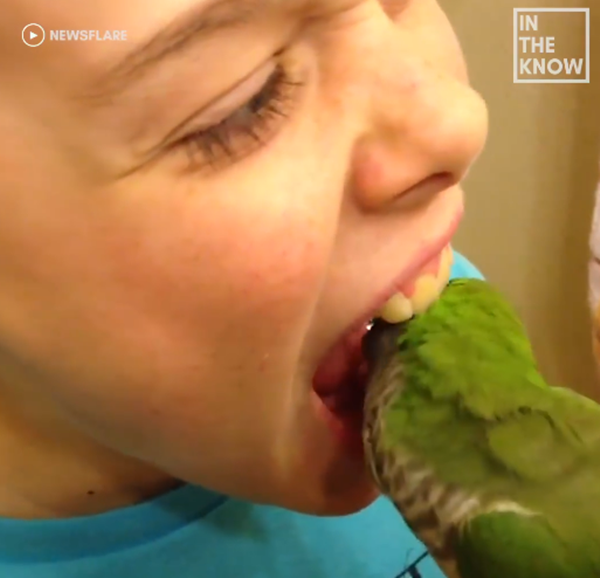 Tôi sắp xong rồi, an tâm sẽ không đau mà.