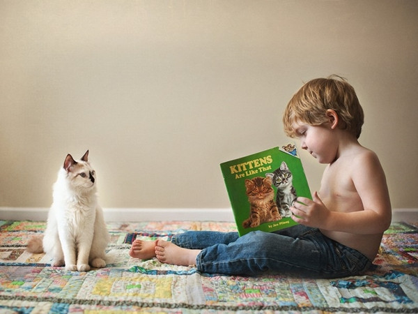 Cậu bé Andrew dành tình yêu rất bền bỉ cho chú mèo của mình.