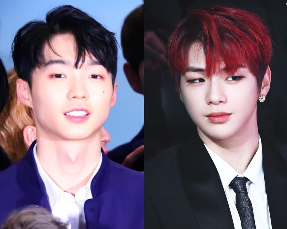 Park Yuri được cho là giống với Kang Daniel