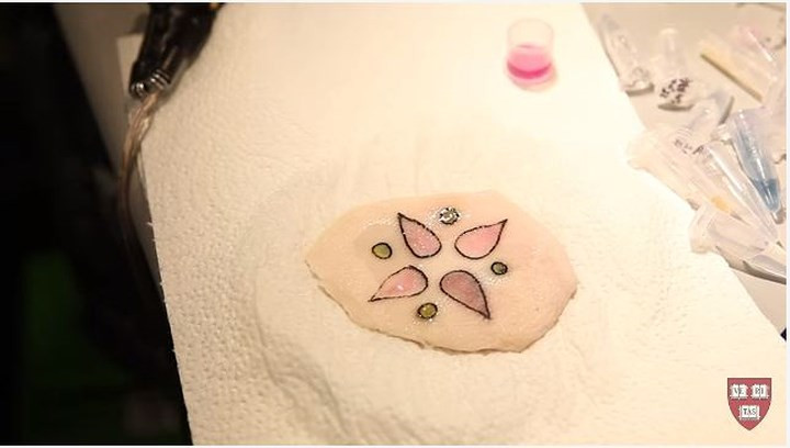 Ý tưởng về hình xăm để đo lường sức khỏe bên trong vẫn còn ở giai đoạn tương đối sớm, nhưng nó có thể là một cách vô cùng hữu ích (và không xâm lấn) để đưa ra những cảnh báo sớm về những thay đổi về sức khỏe của một người.