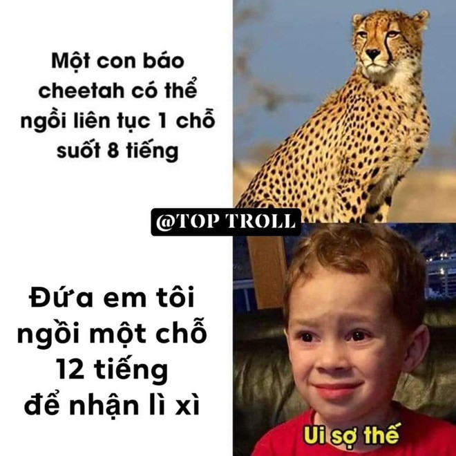 Nhận lì xì là niềm vui của trẻ con mỗi dịp Tết đến, xuân về. Ảnh: Top troll.