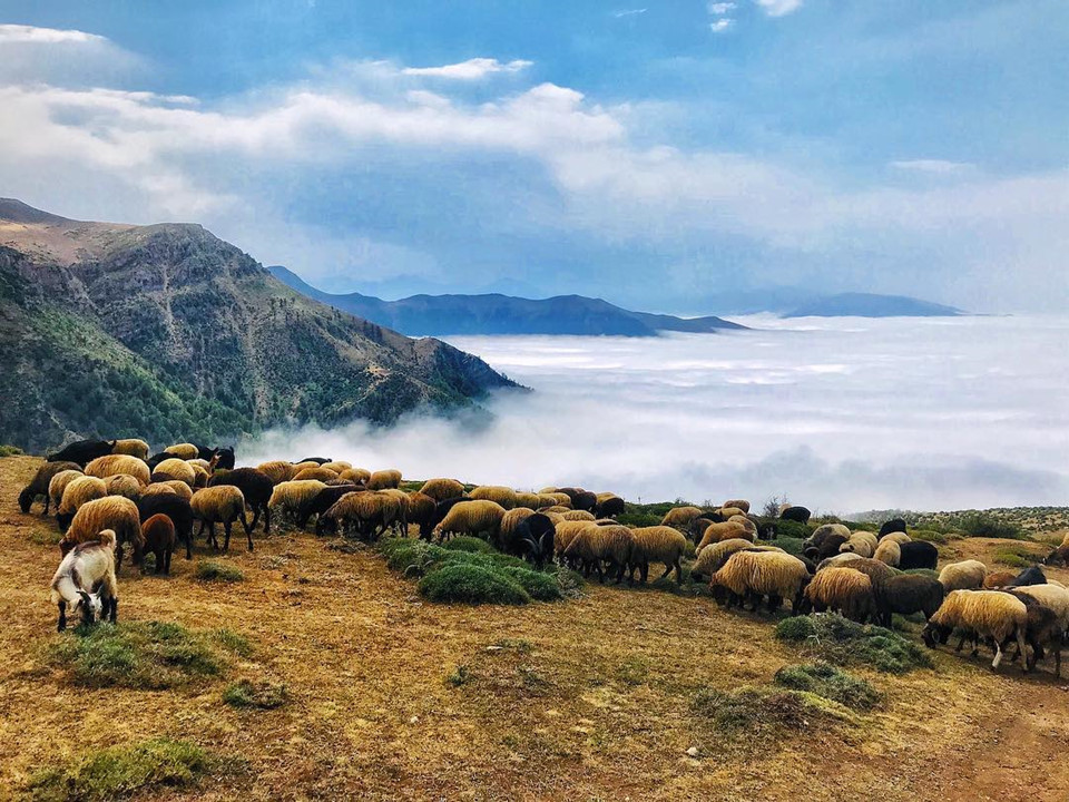 Ảnh: Expedition.planners.