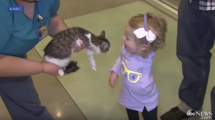 Cặp đôi luôn có sự đồng cảm và kết nối đặc biệt. Ảnh: ABC News.