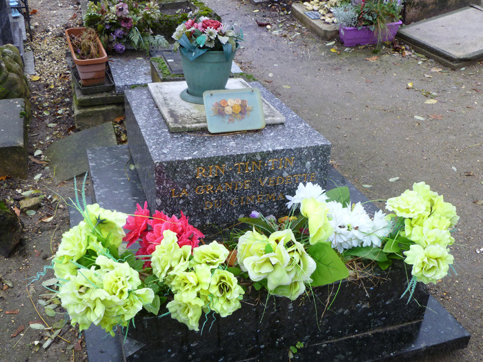 Ảnh: Cool Stuff In Paris.