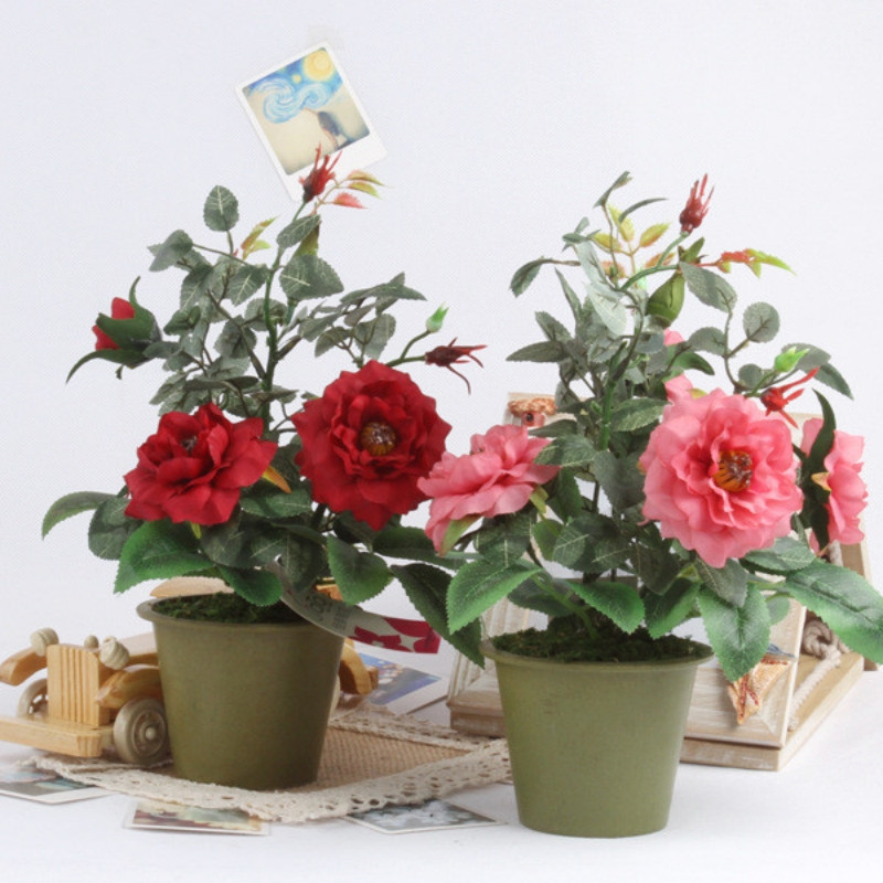 Dù không thích trồng cây, bạn vẫn muốn có một chậu cây xinh xắn này trong nhà cho xem ảnh 3