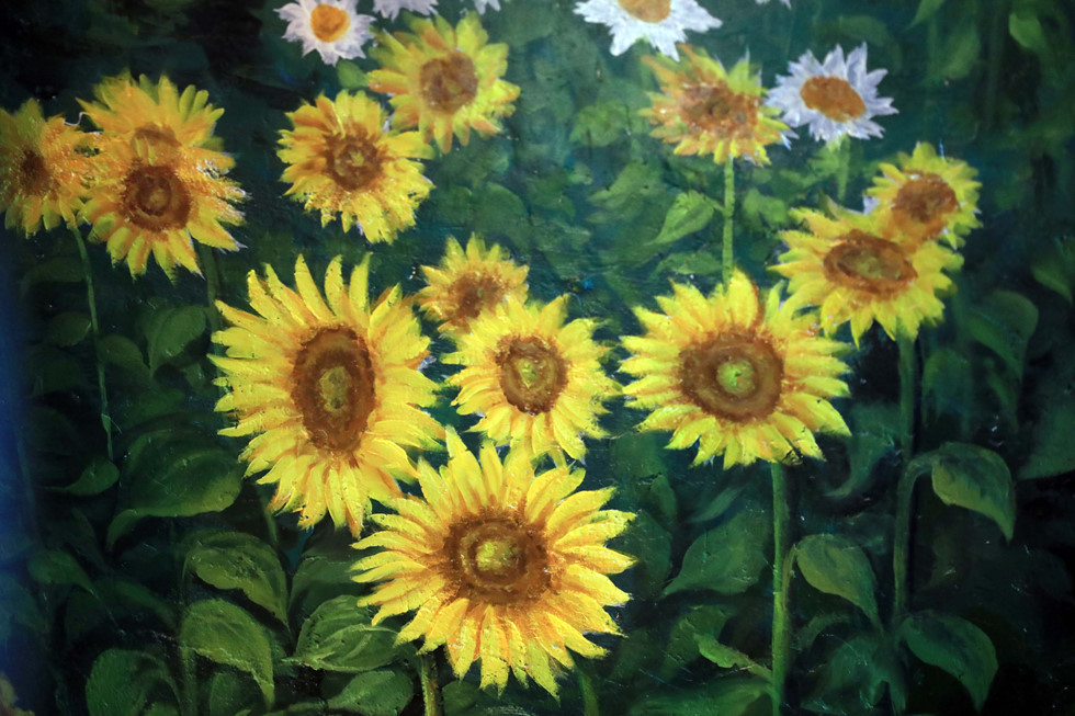 Những đoá hoa hướng dương đầy sức sống. ẢNH: LAM NGỌC.