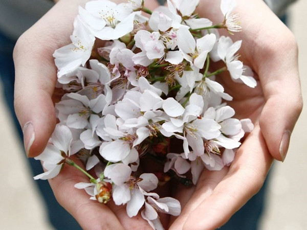 Nếu bạn giữ một 