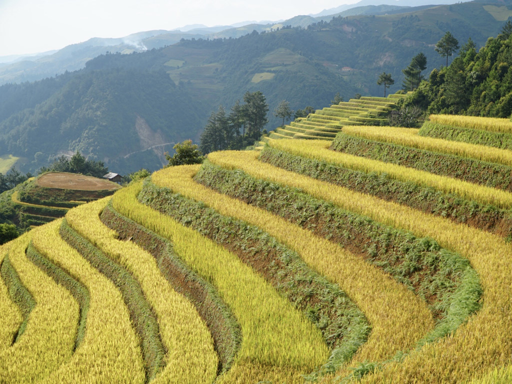 Ảnh: Hoàng Mai Anh, Diệu Ánh.