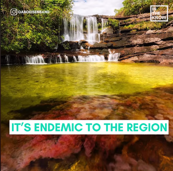 Hiện tại đây là nơi thu hút rất nhiều khách du lịch tham quan và trải nghiệm.