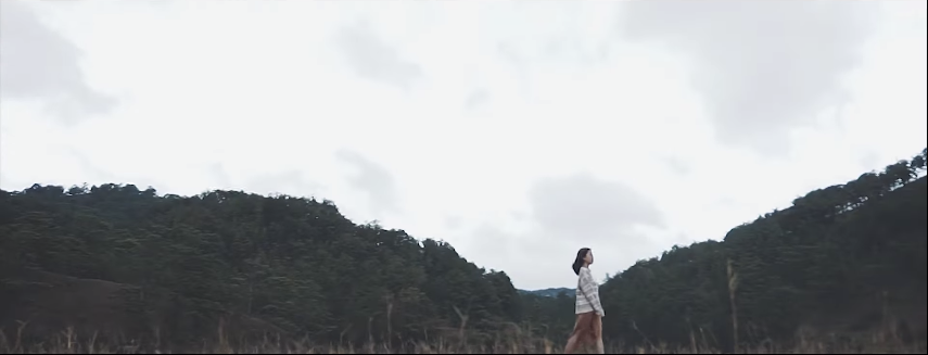 Các cảnh quay rừng thông đặc trưng thu hút người xem.