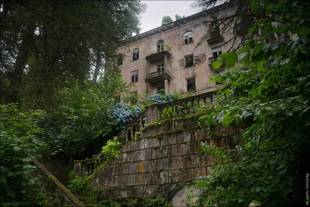 Mọi căn nhà bị cây cỏ phủ kín.