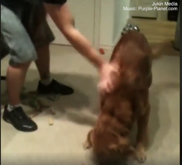 Xong tháp bánh là tôi được ăn thỏa thích. Thế bảo sao tôi không yêu bạn.