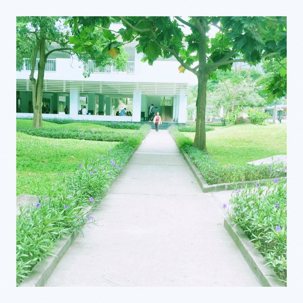 Hay con đường nối dài thật dài từ cổng trưởng đến lớp học mà mỗi ngày chúng ta đi qua? Hay con đường nối dài thật dài từ cổng trưởng đến lớp học mà mỗi ngày chúng ta đi qua?