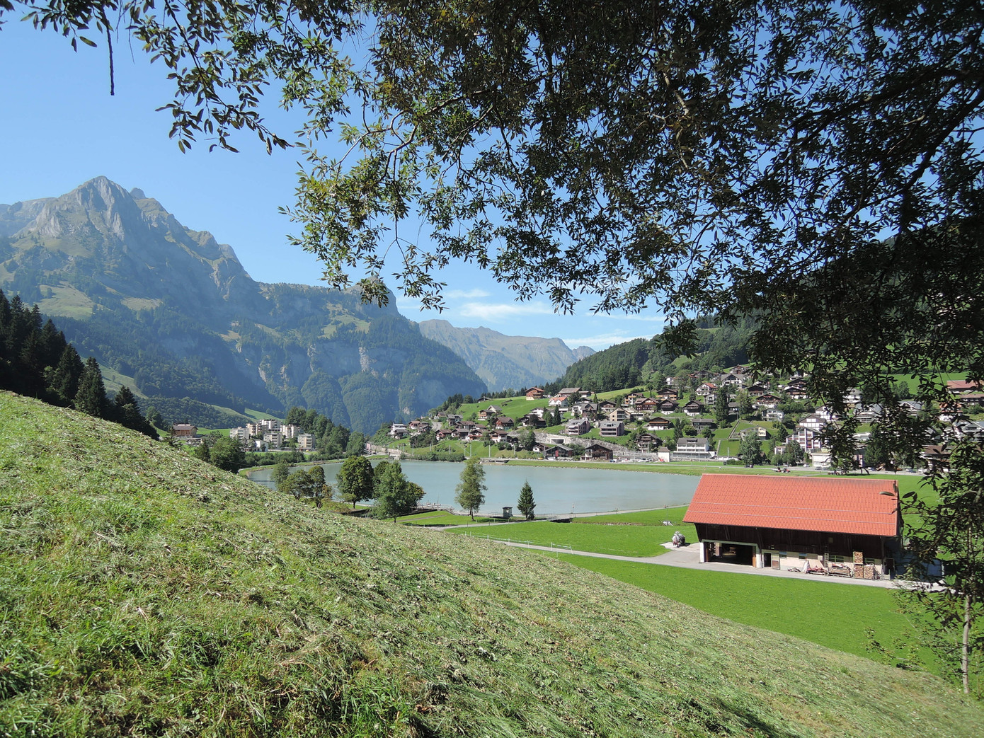 Tôi đã ngủ thiếp đi dưới bóng cây.