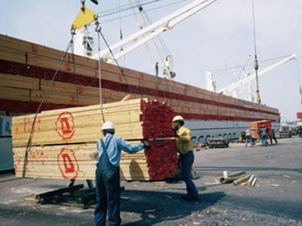 Công việc ở xưởng gỗ rất vất vả, nhưng bố tôi luôn đặt tình yêu và lòng biết ơn vào mỗi việc mình làm.