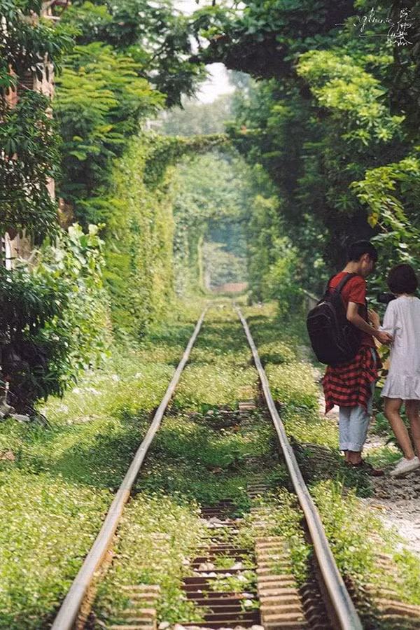 (Ảnh: Nguyễn Trọng Cung)
