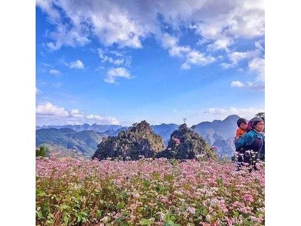 Ảnh: lam_oanh.