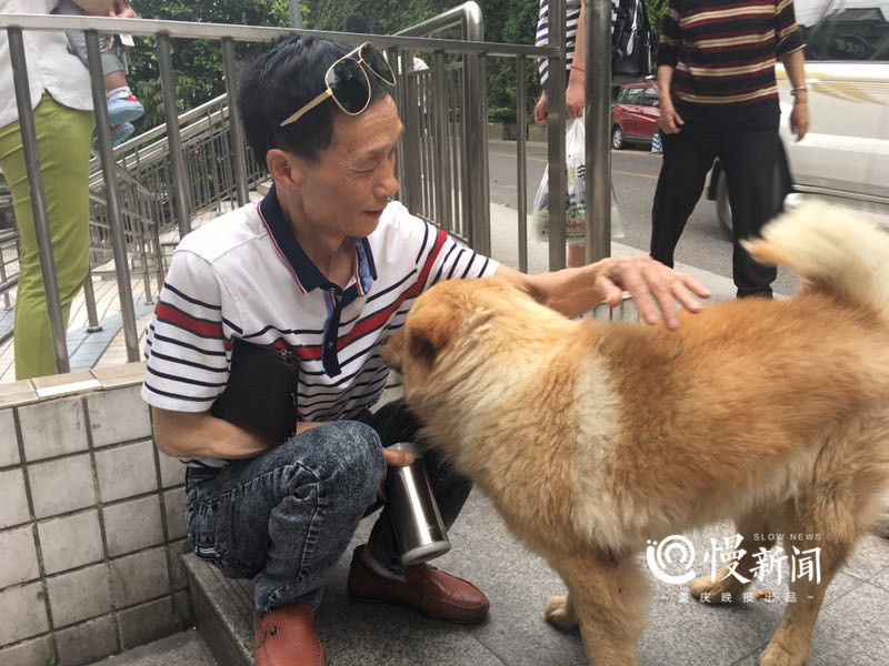 Người qua đường và người dân sống gần nhà ga rất yêu mến Xiong Xiong.