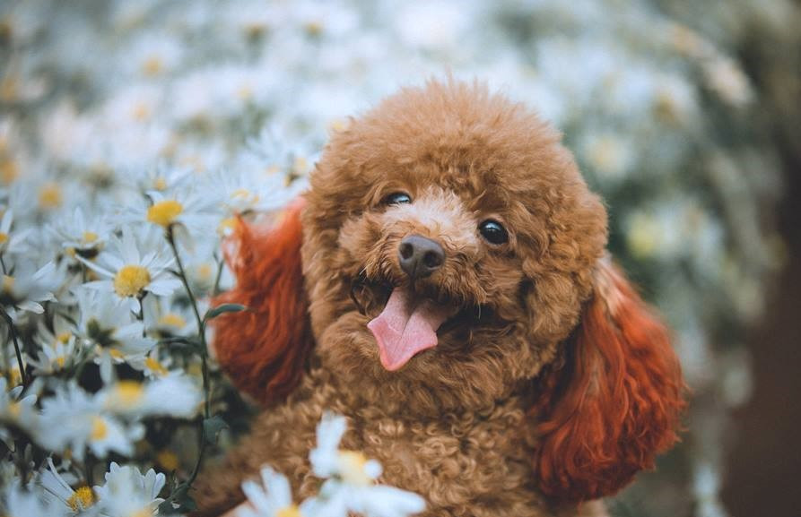 Dịu dàng, e ấp...