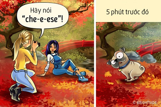 Hãy cẩn thận trong từng bức ảnh chụp lá vàng rơi.