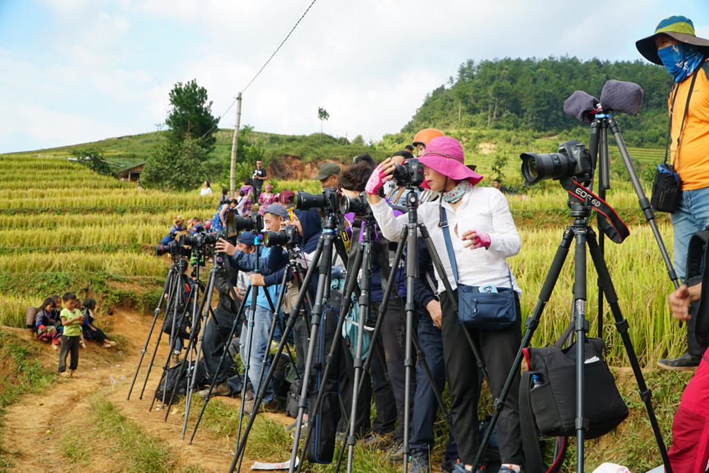 Ảnh: Hoàng Mai Anh.