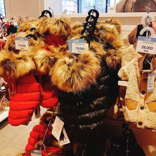 Người Hàn sẵn sàng bỏ số tiền lớn để mua quần áo đẹp và các phụ kiện khác cho chó. Chiếc áo khoác phao cổ lông trong hình có giá 79.000 won (khoảng 1,6 triệu đồng).