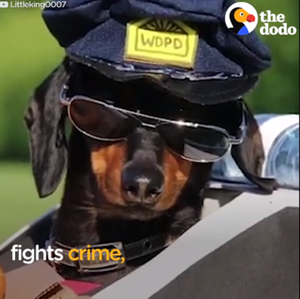 Soái ca trông quá ngầu luôn.