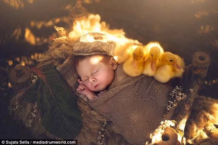 Mỗi bức hình của Sujata Setia thực sự để lại ấn tượng sâu sắc trong lòng người xem. Ảnh: Mediadrumworld./.
