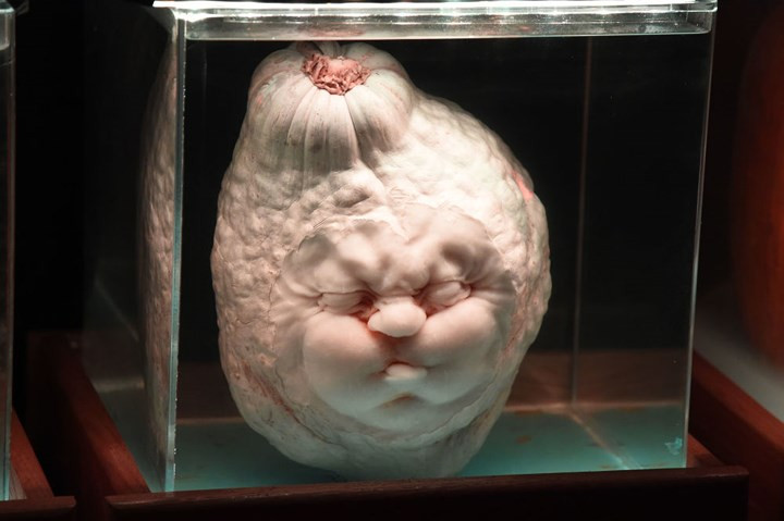 Nếu khéo tay, bạn có thể chạm khắc của bí ngô thành hình thù ma quái cầu kỳ như thế này.