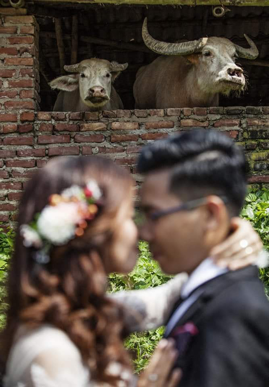 Bức ảnh gây cười vì lấy nét sai. (Ảnh: Phong Phi Phạm)